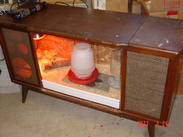62376_dsc03325.jpg
