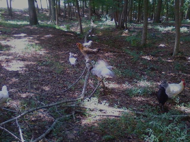 62442_photo07281224.jpg