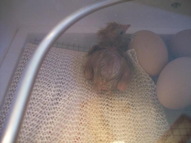 62714_110_4324.jpg