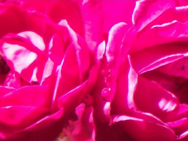 62790_art_photos_018.jpg