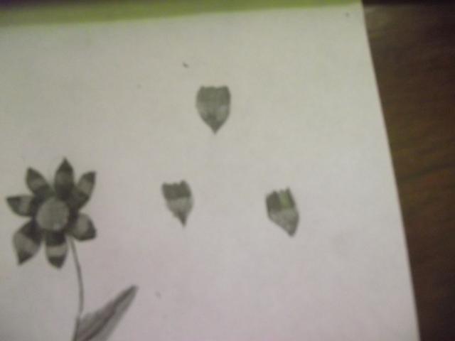 62815_flower_and_petals_002.jpg