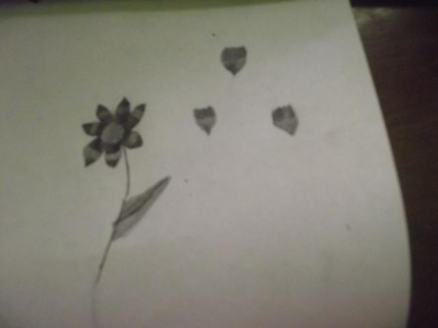 62815_flower_and_petals_003.jpg