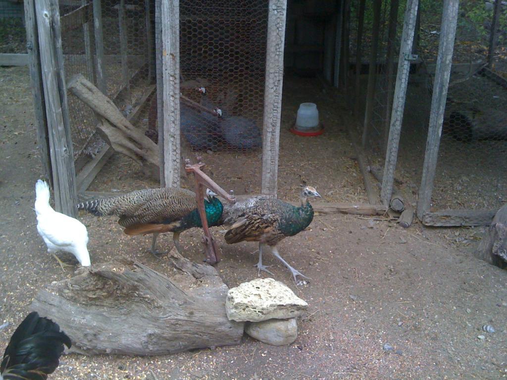 62816_photo.jpg