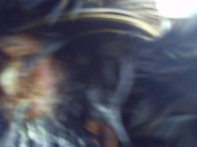 6295_pict0003.jpg