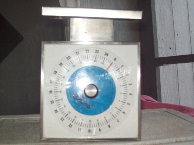 63116_101_1734.jpg