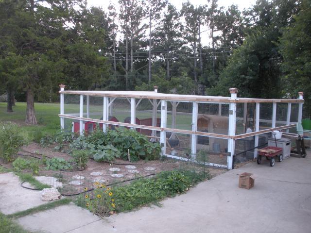 63162_dscn3541.jpg