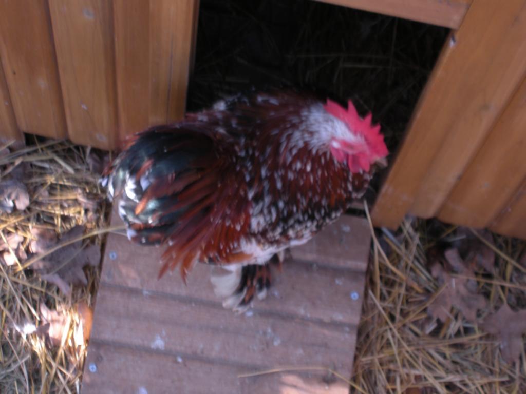 63162_dscn3758.jpg