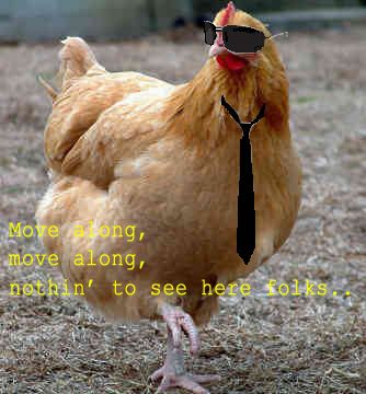 63199_chicken_cop.jpg