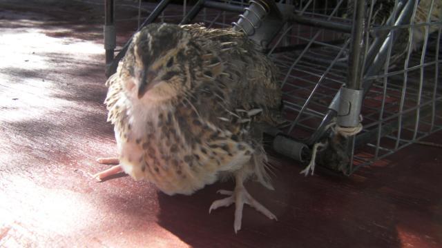 63214_bub_048.jpg