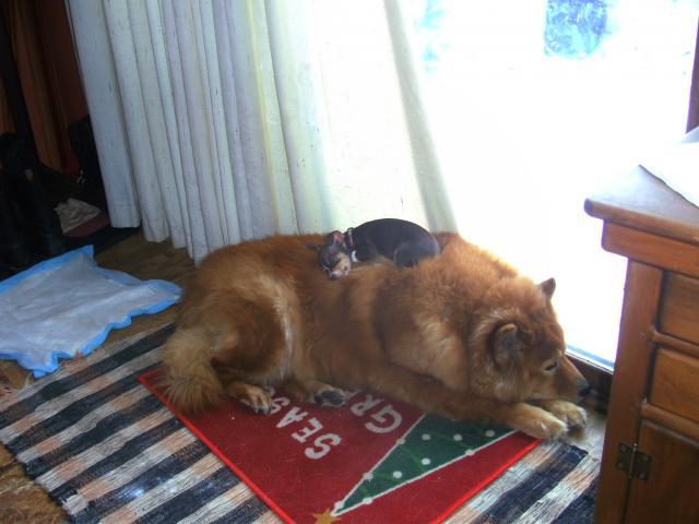 63295_jan7_005.jpg