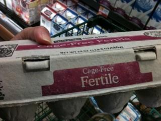 63299_fertile.jpg