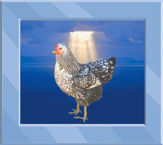 63357_trixieblueframe.gif