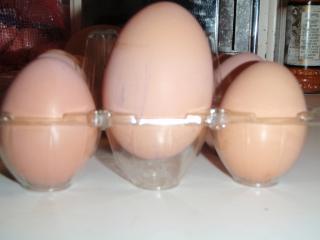 63768_big_egg_002.jpg