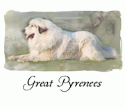 63814_great-pyr1.png