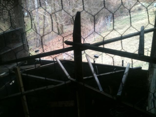 64309_img_1163.jpg
