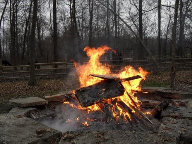 64357_bonfire.jpg