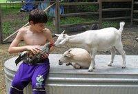 64357_colin_and_animals.jpg