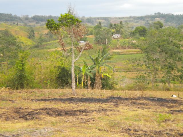 64370_our_property_looking_downhill_and_across_the_river_from_the_middle_of_it.jpg