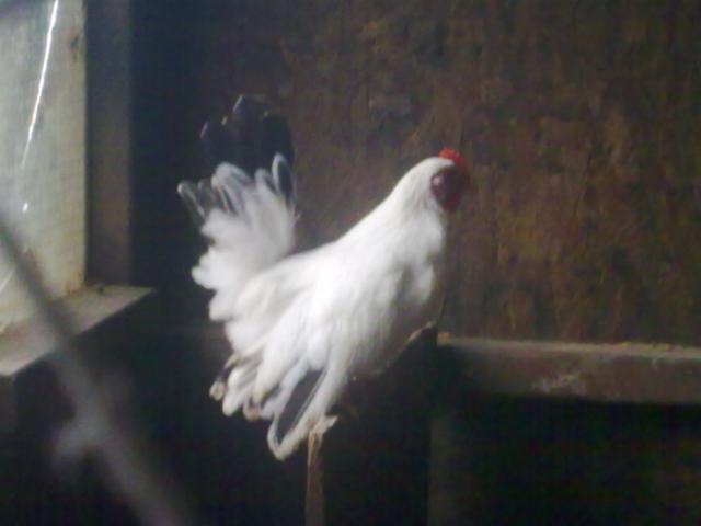 64377_01082010073.jpg