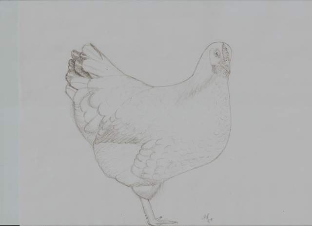 6441_scan0001.jpg