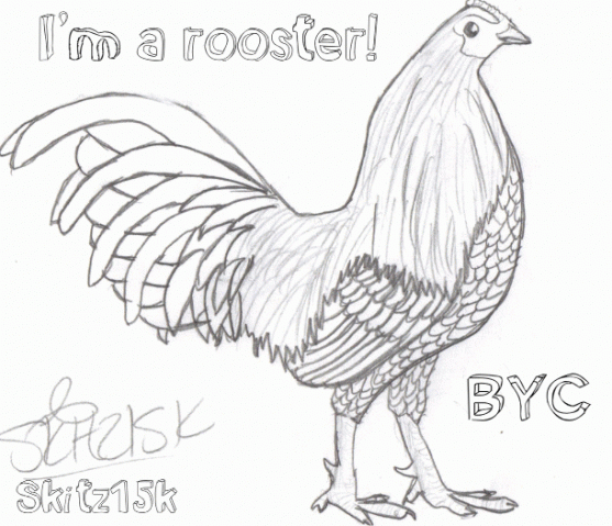 64455_roosterrrrrrrrr.png