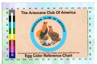 64471_egg20color20card.jpg