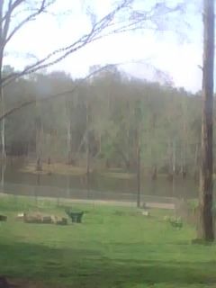 64476_04-05-10_0932.jpg