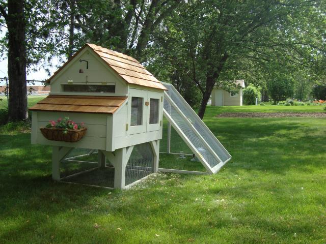 Wisconsin Winters . . . heat lamp or not? BackYard Chickens