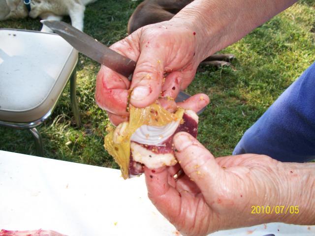 6459_meat_chickens_processing_022.jpg
