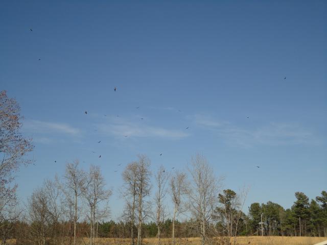 64605_dsc01593.jpg