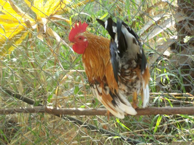 64686_byc_018.jpg
