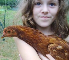 64791_pict0390.jpeg
