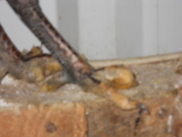 64798_006.jpg