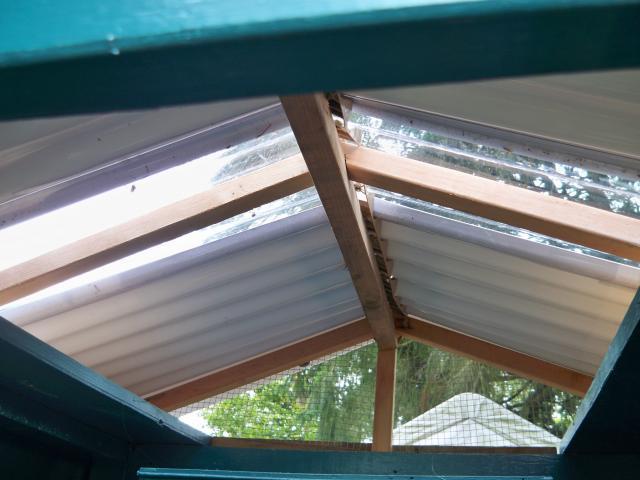 64807_101_0699.jpg