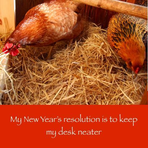 64832_january_3_2011_workday_chicken.jpg