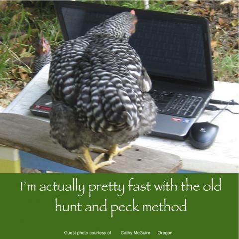 64832_september_13_2011_workday_chicken.jpg