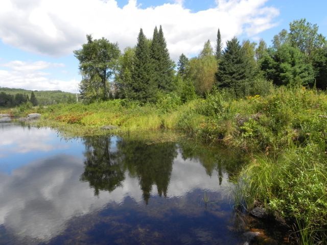64845_reflections.jpg