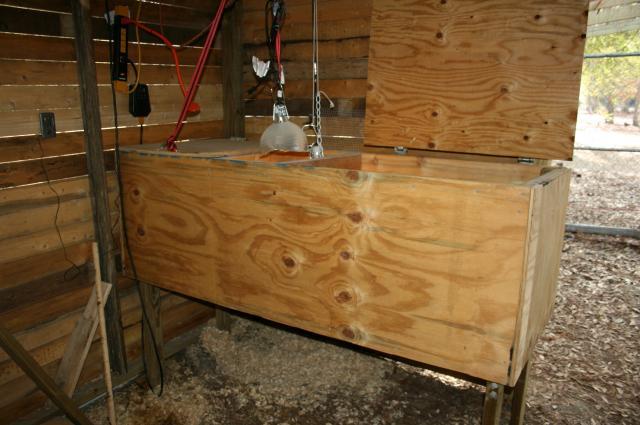 64928_brooder1.jpg