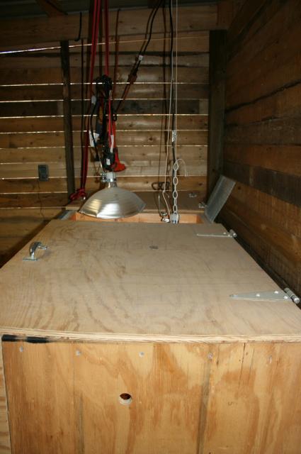 64928_brooder5.jpg