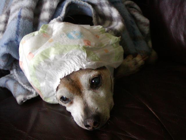 650_p9020008.jpg