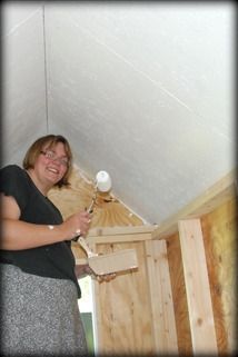 65128_coop_ceiling.jpg