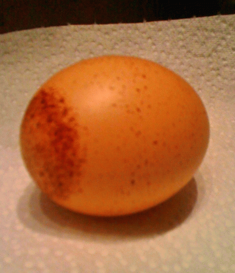 65452_bullseye_egg_side.png