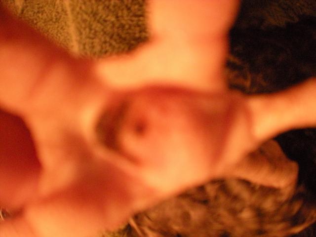 65474_dscn0293.jpg