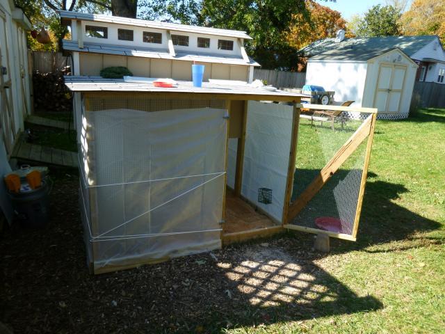 65545_chickens_023.jpg