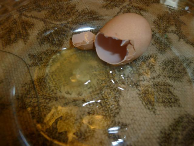 65545_egg_-_tiny_006.jpg