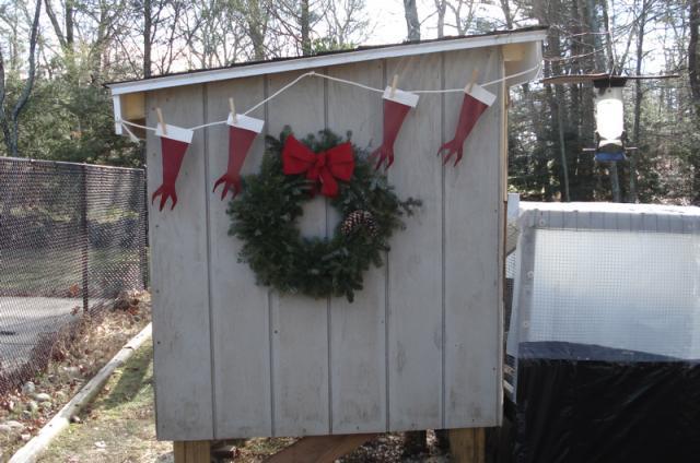 65602_christmas_coop.jpg