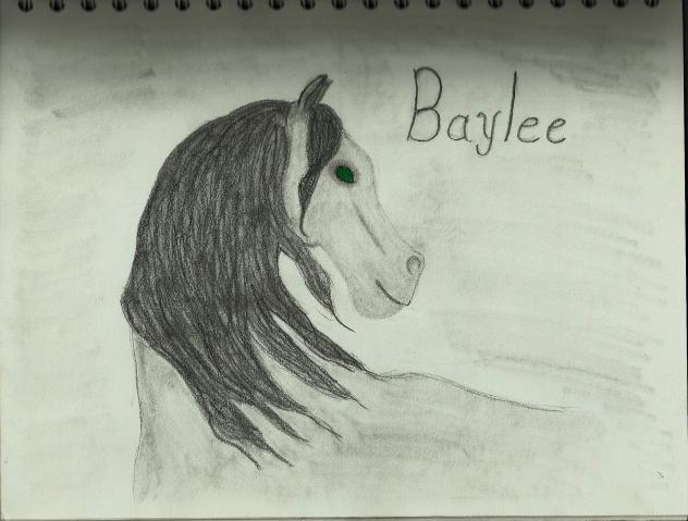 65682_baylee.jpg