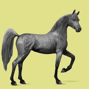 65682_hermes_howrse.jpg