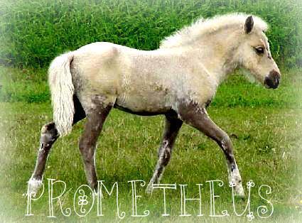 65682_prometheus-2.jpg