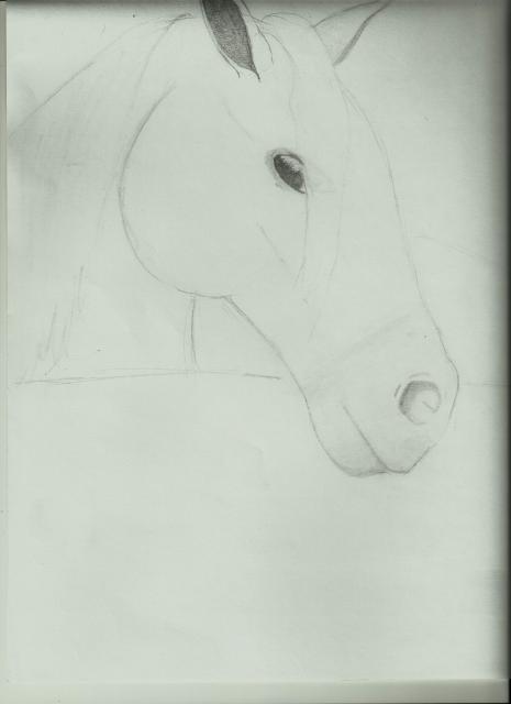 65682_scan0010.jpg